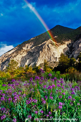 Chalk creek Rainbow 2.jpg